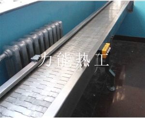 沈阳链板输送机
