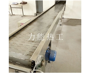 沈阳链板输送机